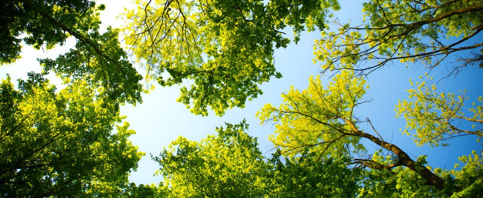 BM Certification – immer einen Schritt voraus