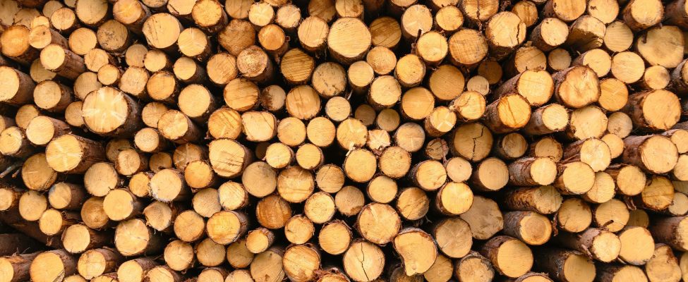 PEFC-Zertifizierung für Waldbewirtschaftung