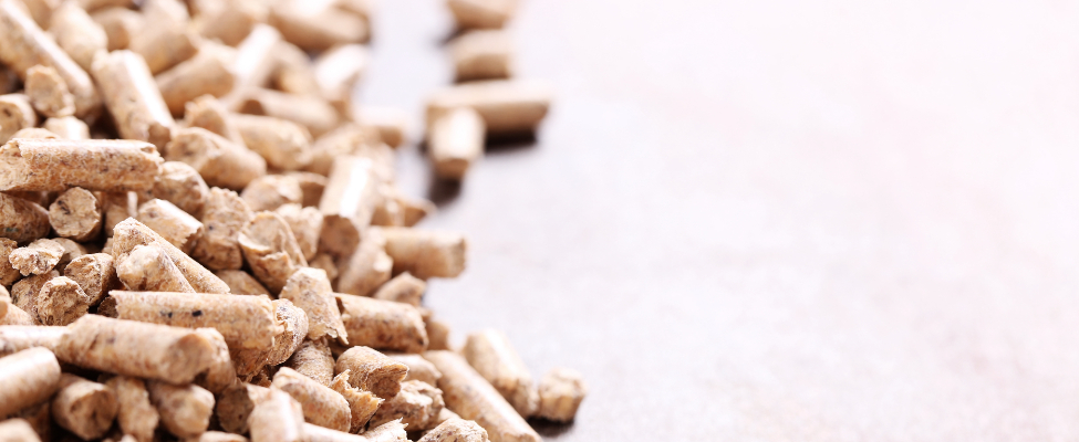 SBP-Programm für nachhaltige Biomasse