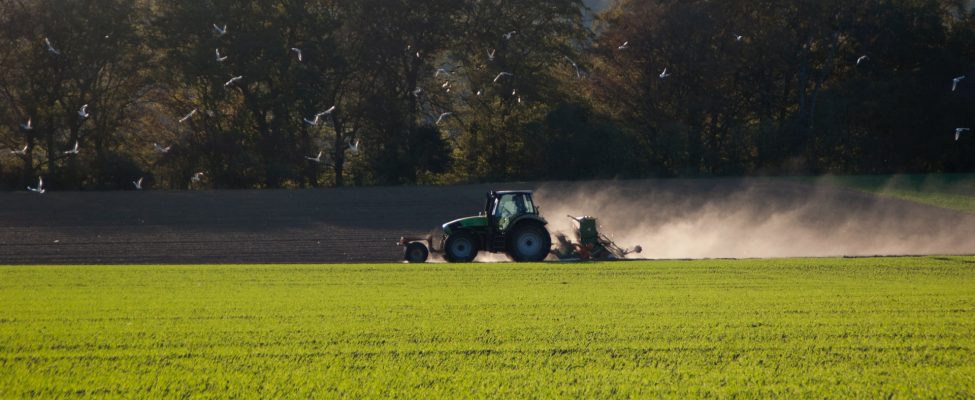 ISCC Internationale Nachhaltigkeits- und Kohlenstoffzertifizierung