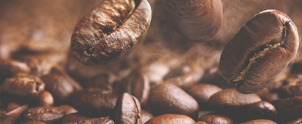 Zertifizierungen für Kakao & Kaffee – UTZ und Rainforest Alliance