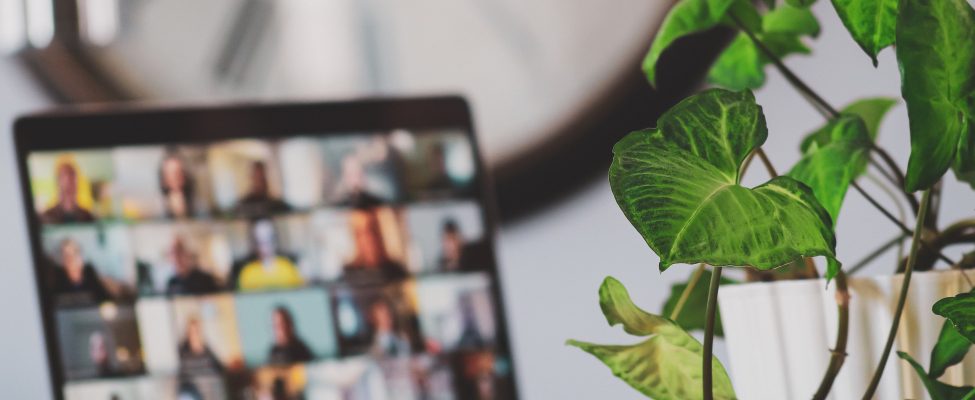 BM Certification – Anpassungen COVID 19