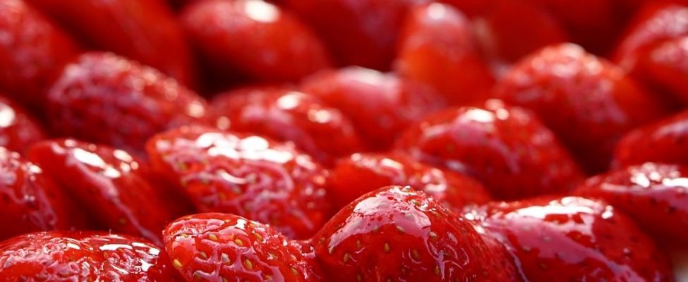 ISO 22000 oder FSSC 22000, welche Norm ist für Ihr Unternehmen am besten geeignet?