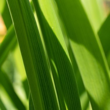 Umweltmanagementsystem ISO 14001: Ein Schritt zu besseren und umweltschonenderen Praktiken