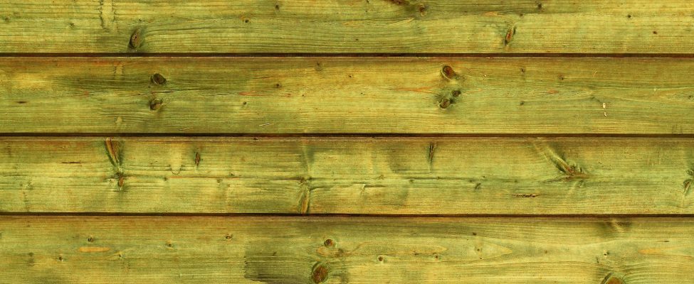 WIE MAN DEN KLIMAWANDEL STOPPEN KANN?  VERWENDEN SIE MEHR HOLZ