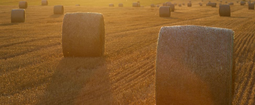 BM Certification ist als Zertifizierungsstelle für das SURE-EU-System zugelassen