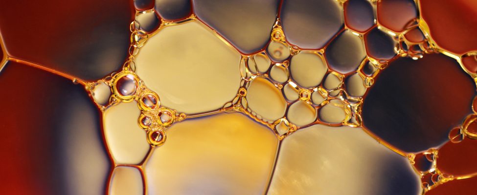 Weltweiter Verbrauch von zertifiziert nachhaltigem Palmöl