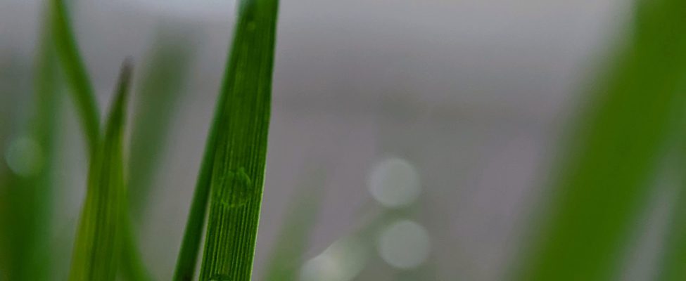 Überprüfung des CO2-Fußabdrucks von Produkten (ISO 14067, PAS 2050)