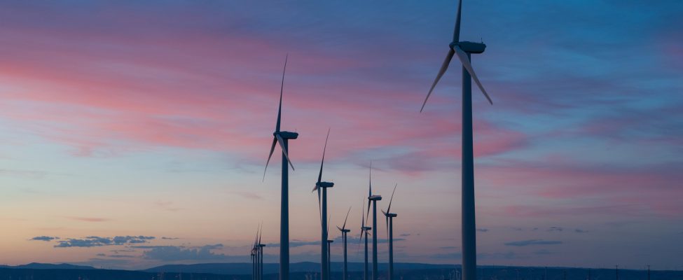 CDP Wasser & Kohlenstoff Verifizierung – Carbon Disclosure Verification