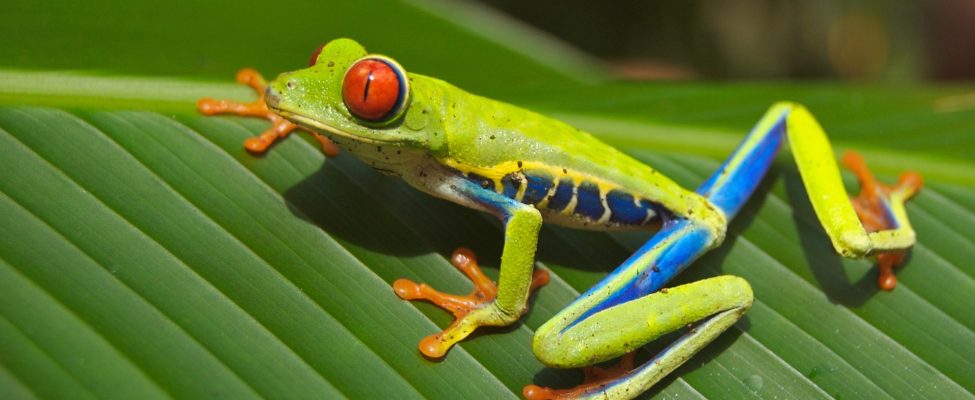 Nachhaltige Lösungen: Wie ISO 14001 zur Bekämpfung der Plastikverschmutzung beiträgt