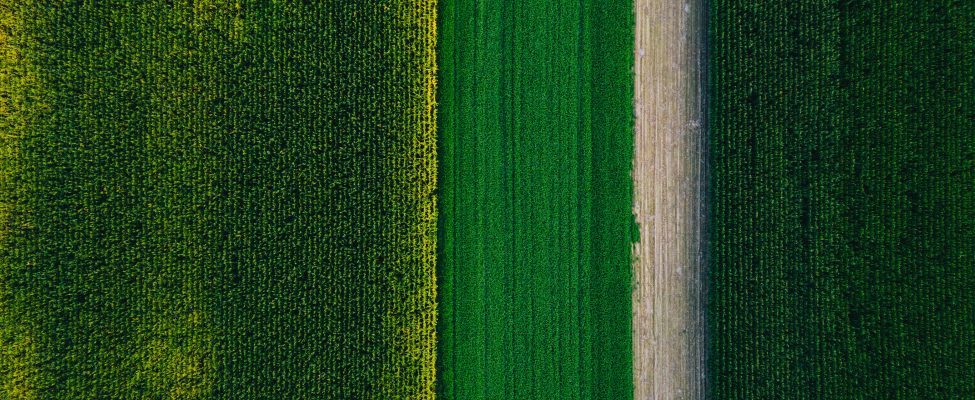 EU-Taxonomie, SFDR und Überprüfung der europäischen grünen Anleihen