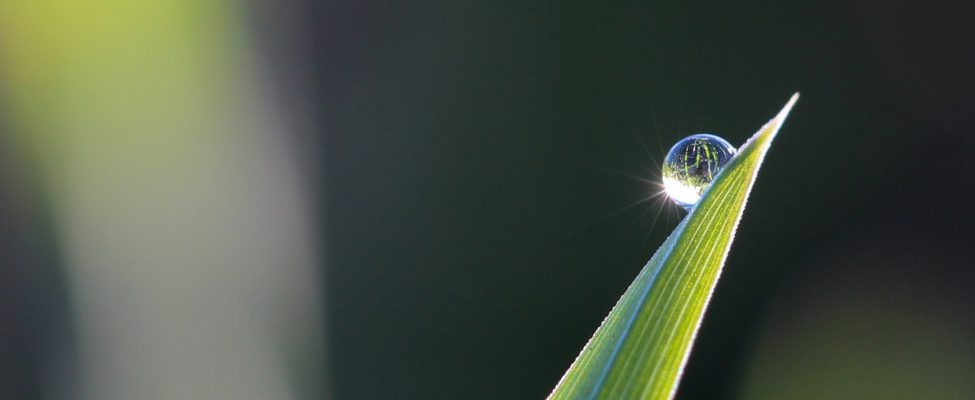 Die Macht der internationalen Normen