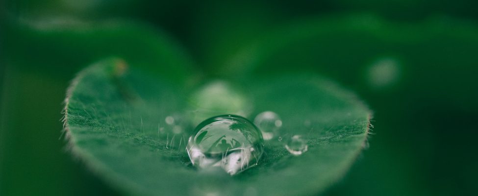 EU-Taxonomie, SFDR und Überprüfung der europäischen grünen Anleihen